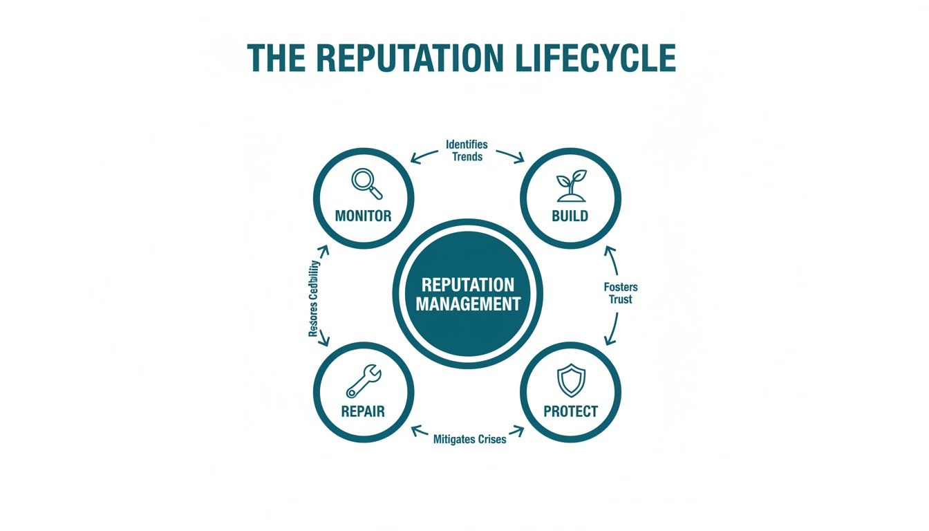 Diagram illustrating the reputation lifecycle: monitor, build, protect, and repair phases.